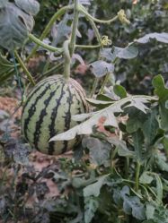 点击看大图 -悦家·美丽妈妈月子会所(龙奥店)