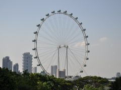 -新加坡摩天观景轮