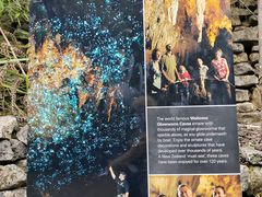 -怀托摩萤火虫洞