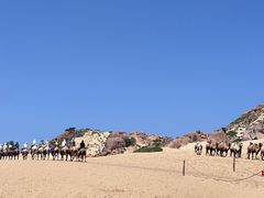 -玉龙沙湖景区