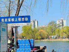 -WhaleSports户外水上运动俱乐部(朝阳公园店)
