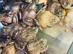 -秦记香辣蟹(松榆里店)