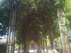 -中华圣公会教堂旧址