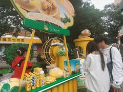 -顺德职业技术大学