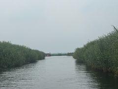 -白洋淀景区