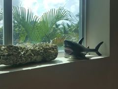 -蠔爺王志德生蚝馆(金沙湾店)