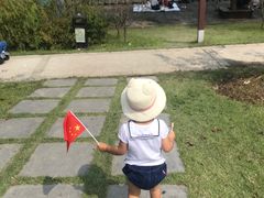 -自然谷恐龙园