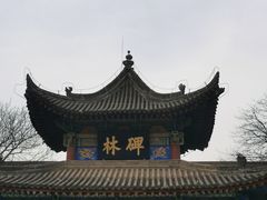 -西安碑林博物馆
