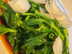 -绿波廊(豫园店)