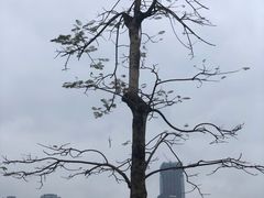 -凤岭儿童公园