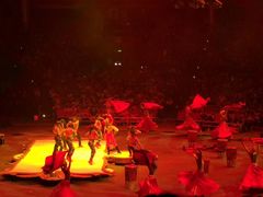 -珠海横琴长隆《卡卡虎奇遇记》