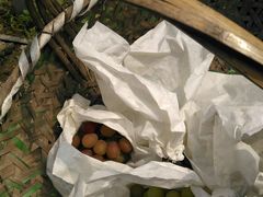 -马陆小张葡萄园农家乐