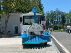 -金银湖国家城市湿地公园