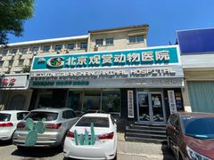 -北京观赏动物医院·24小时大型综合·猫专科·异宠专科