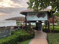 -三亚亚龙湾天域度假酒店