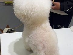 -派特宠物医院(圆融广场店)