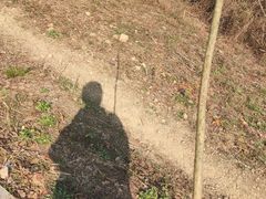 -青龙山国家森林公园