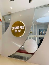 点击看大图 -COSMO PRO造型