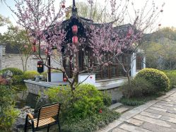 -南京医科大学友谊整形外科医院