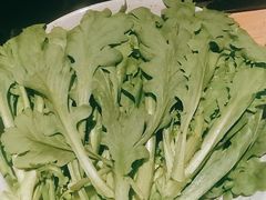 茼蒿-老墙根涮肉·铜锅·烧烤(欢乐谷·王四营店)
