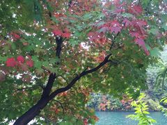 -丹东天桥沟景区