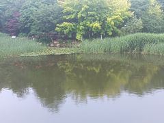 -大连植物园