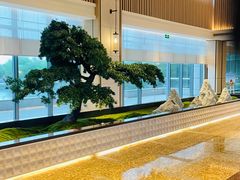 -上海佘山茂御臻品之选酒店(原佘山艾美酒店)