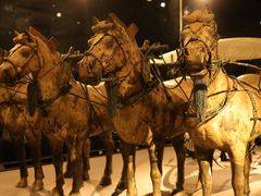 -秦始皇帝陵博物院-丽山园