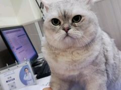 -佑安动物医院·全科·内窥镜中心(幸福巷店)