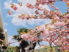 -上海旅游集散中心(万体站)