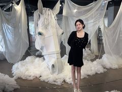 -辰熙ACX星海艺术中心