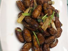 -双井轩(双井店)
