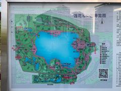 -莲花池公园