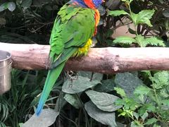 -南宫五洲植物乐园