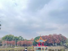 -金砂公园