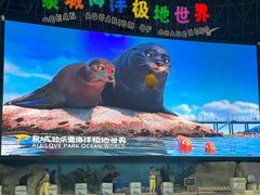 -泉城欧乐堡海洋极地世界