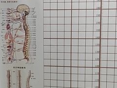 -修申骨雕小颜脊柱骨盆管理产后修复