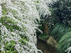 -中国茶叶博物馆(双峰馆区)