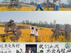 -乌村