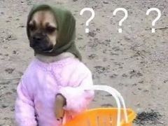 -王记西鎮电烤肉(汶上路店)