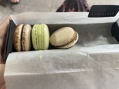 -BLACKSWAN黑天鹅(环球店)