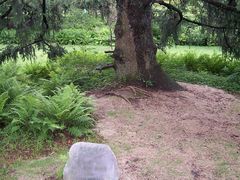 -庐山风景区花径公园