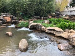 -洛龙公园