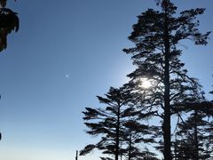 -瓦屋山景区