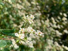 景点-南岳衡山风景名胜区