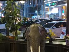 -LYFATTI 莱芙缇(赣水路店)