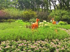 -上海醉白池公园