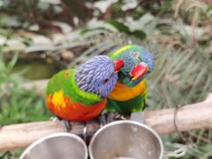 -南宫五洲植物乐园