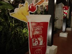 -Long Bar(莱佛士酒店)