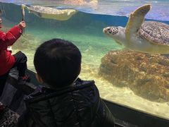 -江和美海洋公园